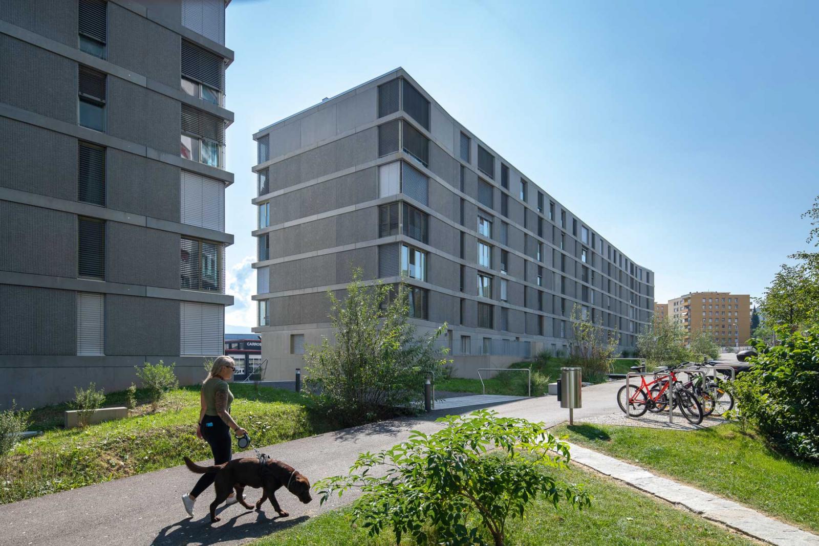 6K7L9_3049_beaumont_sud_adrien_barakat_dmk_edif_bms_22.jpeg