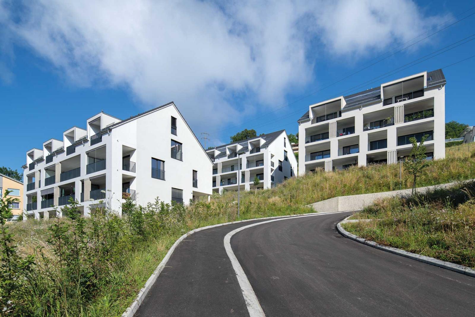 t21HD_3145_collines_de_jongny_adrien_barakat_dmk_edif_jon_16.jpeg