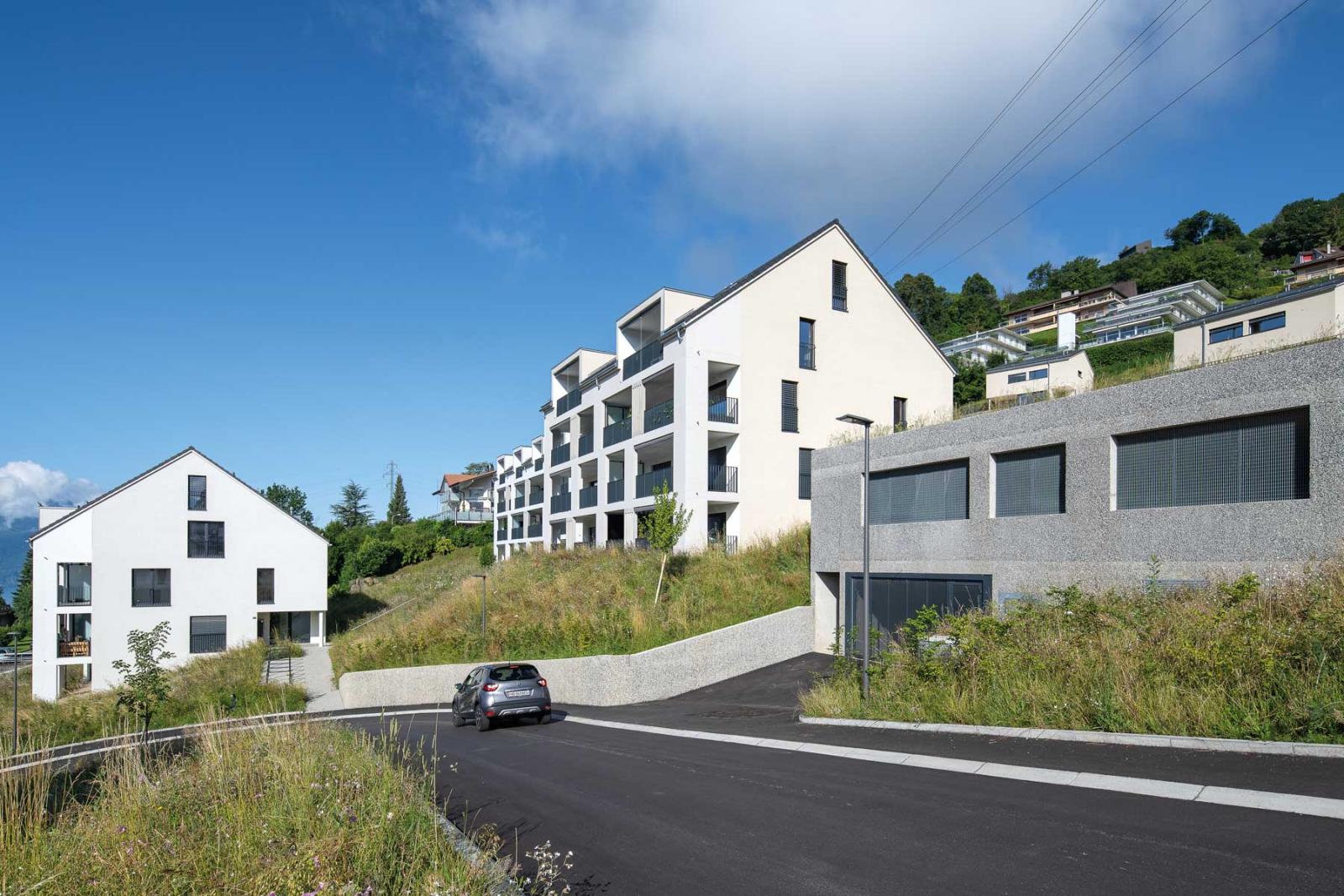WjUDF_3145_collines_de_jongny_adrien_barakat_dmk_edif_jon_13.jpeg